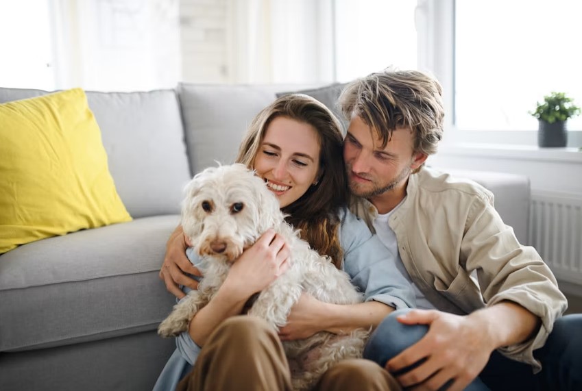Every Pet Deserves a Loving Home